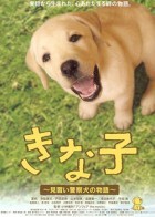 ʵϰȮ