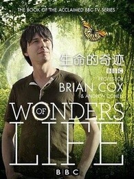 BBC漣