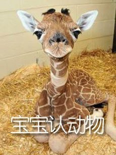 ϶