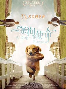 һʹ