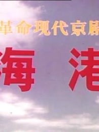 ۣư棩