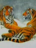 ֳ 2010