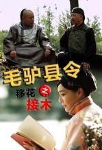 ë¿����֮�ƻ���ľ