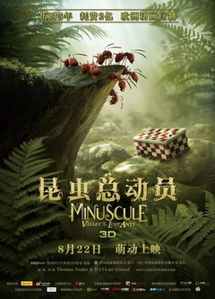 �����ܶ�Ա