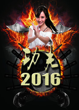 ����2016