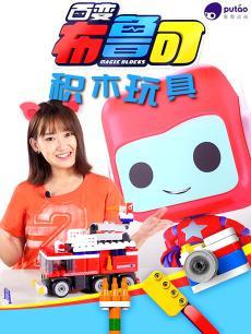�ٱ䲼³�ɻ�ľ���DVD