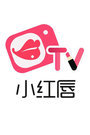 С촽TV 2017