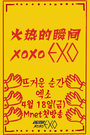 ȵ˲XOXO EXO 2014