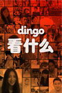 dingo ʲô 2016