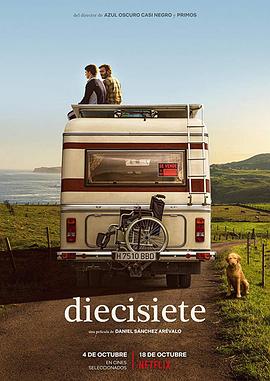 ʮ(2019)