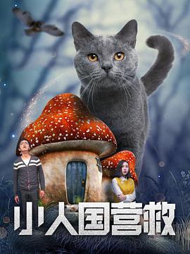 С˹Ӫ
