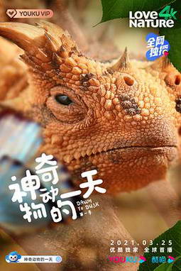 涯һ һ