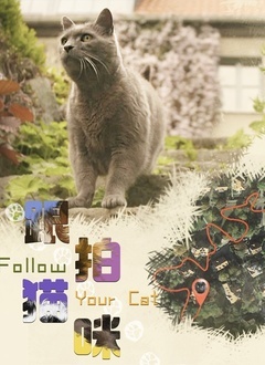 ����è��