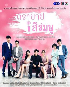 ��ɫ����