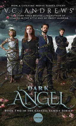 ������ʹ