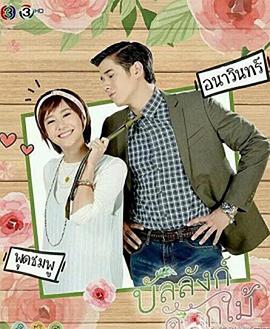 �ʻ�����