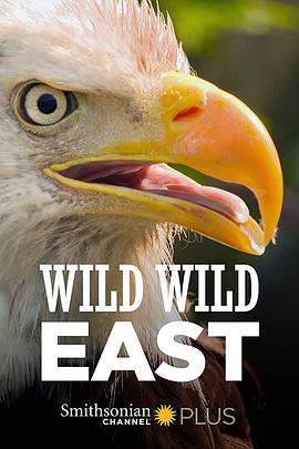 ��Ұ����2