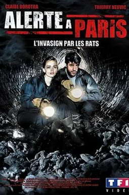 ����Σ�������ɺ�֮��