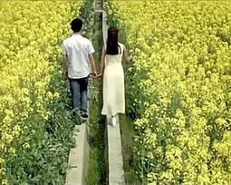 �ഺ֮��II����������