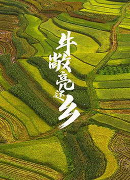 ţ��������
