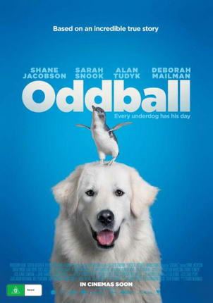 ���С�ػ�
